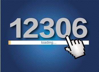 12306