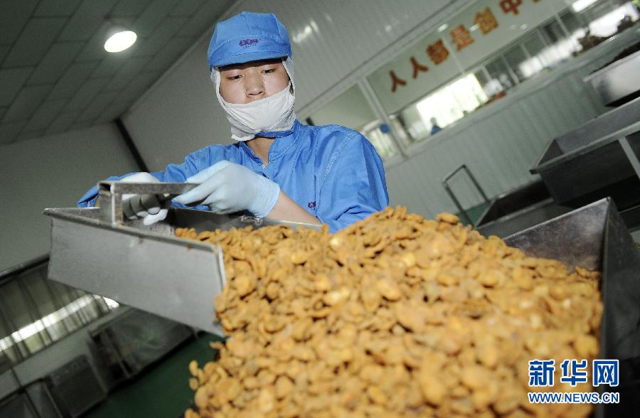 宁夏贺兰大力扶持工业企业转型升级