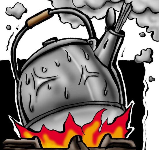 网上热传蒸煮食物先烧开水 专家称夸大其词