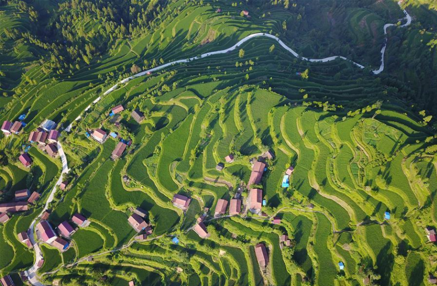 锦屏县东庄苗寨梯田